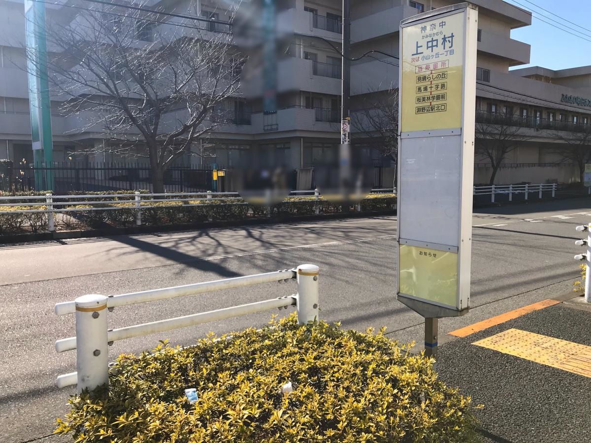 全体