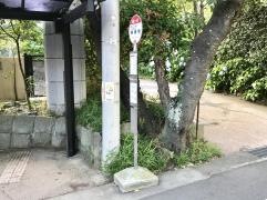 「旭ケ丘」バス停留所