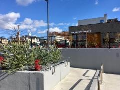 スターバックスコーヒー　仙台台原店