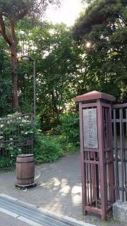 目白の森