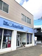 ドッグサロン・アンジェリーク