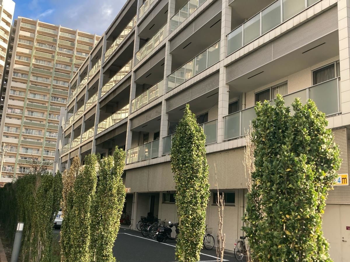 ビオラ川崎