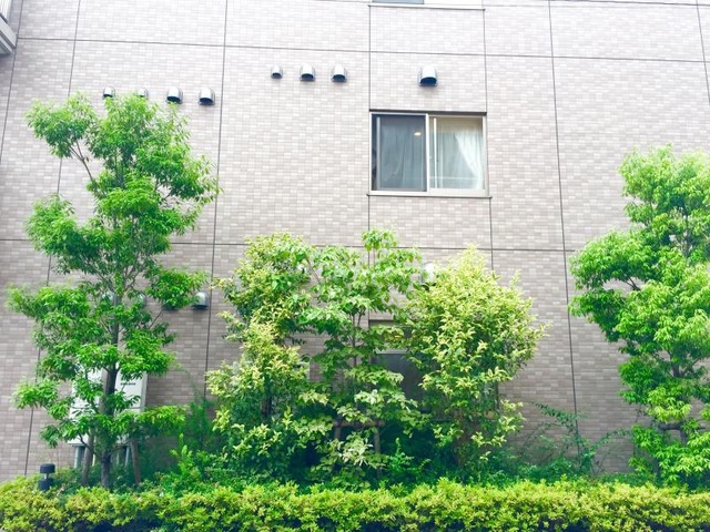 アミカの郷 川口 雰囲気