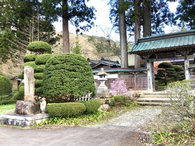 投稿写真1