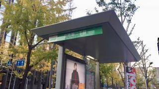 「立売堀二丁目」バス停留所