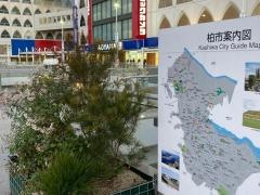 柏駅