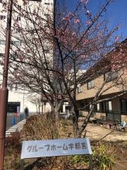 宇都宮