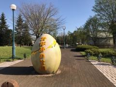 みなみ野公園