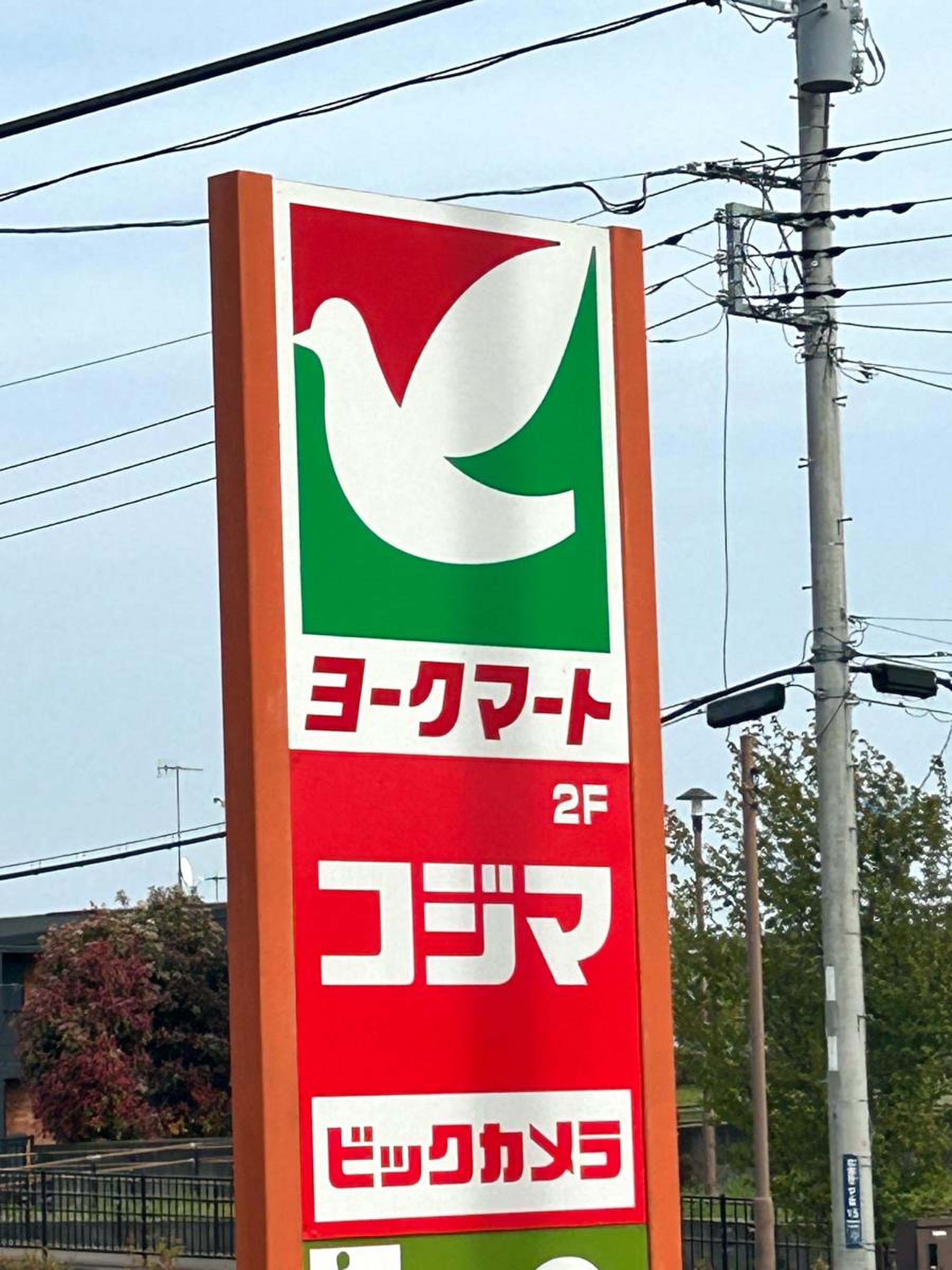 当時のメディア報道・掲載写真