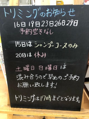 マーケットピア ペットプラザ 岸和田店 岸和田市港緑町