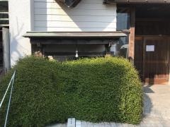 松光
