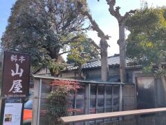 山屋