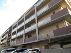 ケアホームうらら一之江