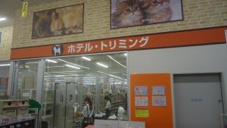 ビバペッツディアフレンズ　小田原国府津店