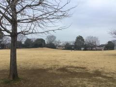 吉岡近隣公園