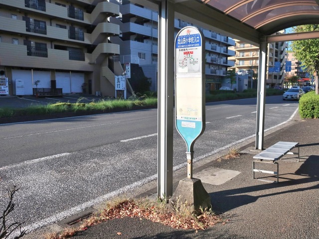 投稿写真7