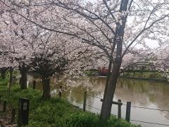 亀城公園