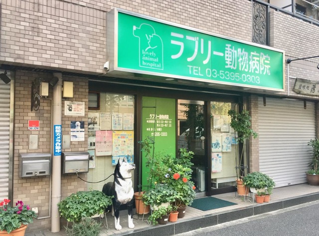 投稿写真8