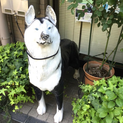 投稿写真2