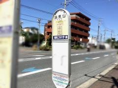 「浜見山」バス停留所