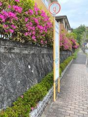 「もみじ通り」バス停留所