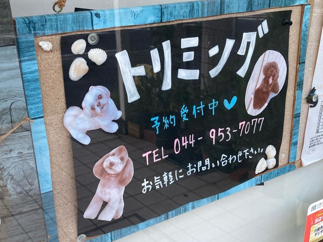 投稿写真5