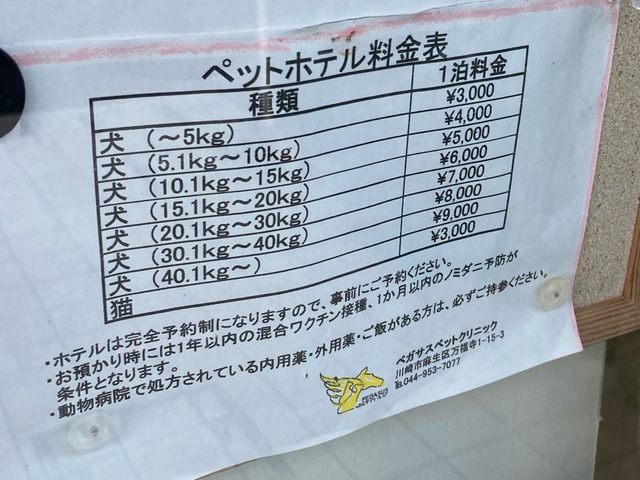 投稿写真2