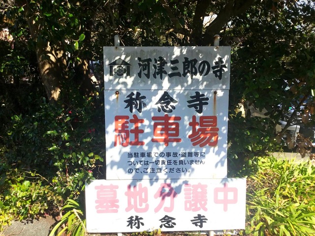 投稿写真4