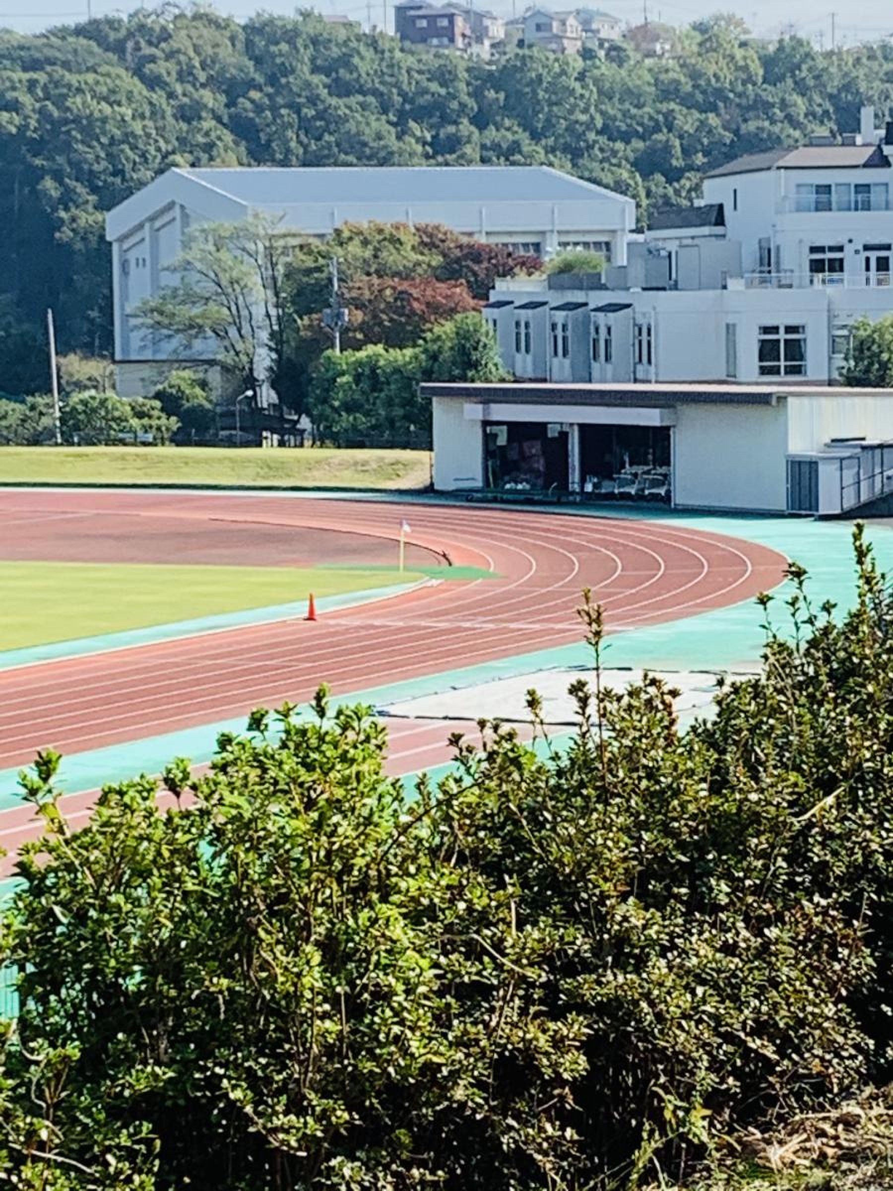 公の場での発言・インタビュー報道記録