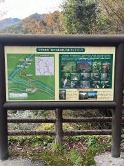 梅の木轟公園吊橋
