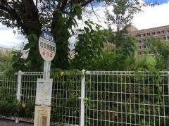 「市民病院前(福知山)」バス停留所