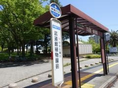 「武道館植物園前」バス停留所