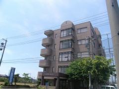 長良川ビラ