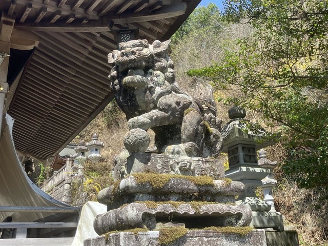 投稿写真4