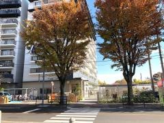 ひろさわ保育園