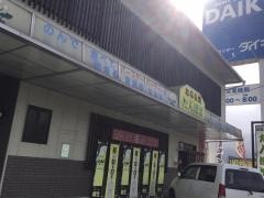 たんぽぽ