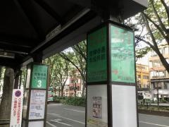 「定禅寺通市役所前」バス停留所