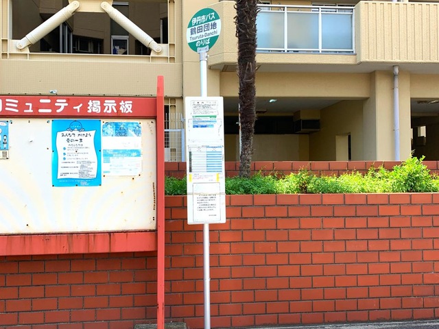 投稿写真1