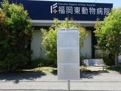 「香椎小学校」バス停留所