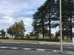 カンセキスタジアムとちぎ（栃木県総合運動公園陸上競技場）