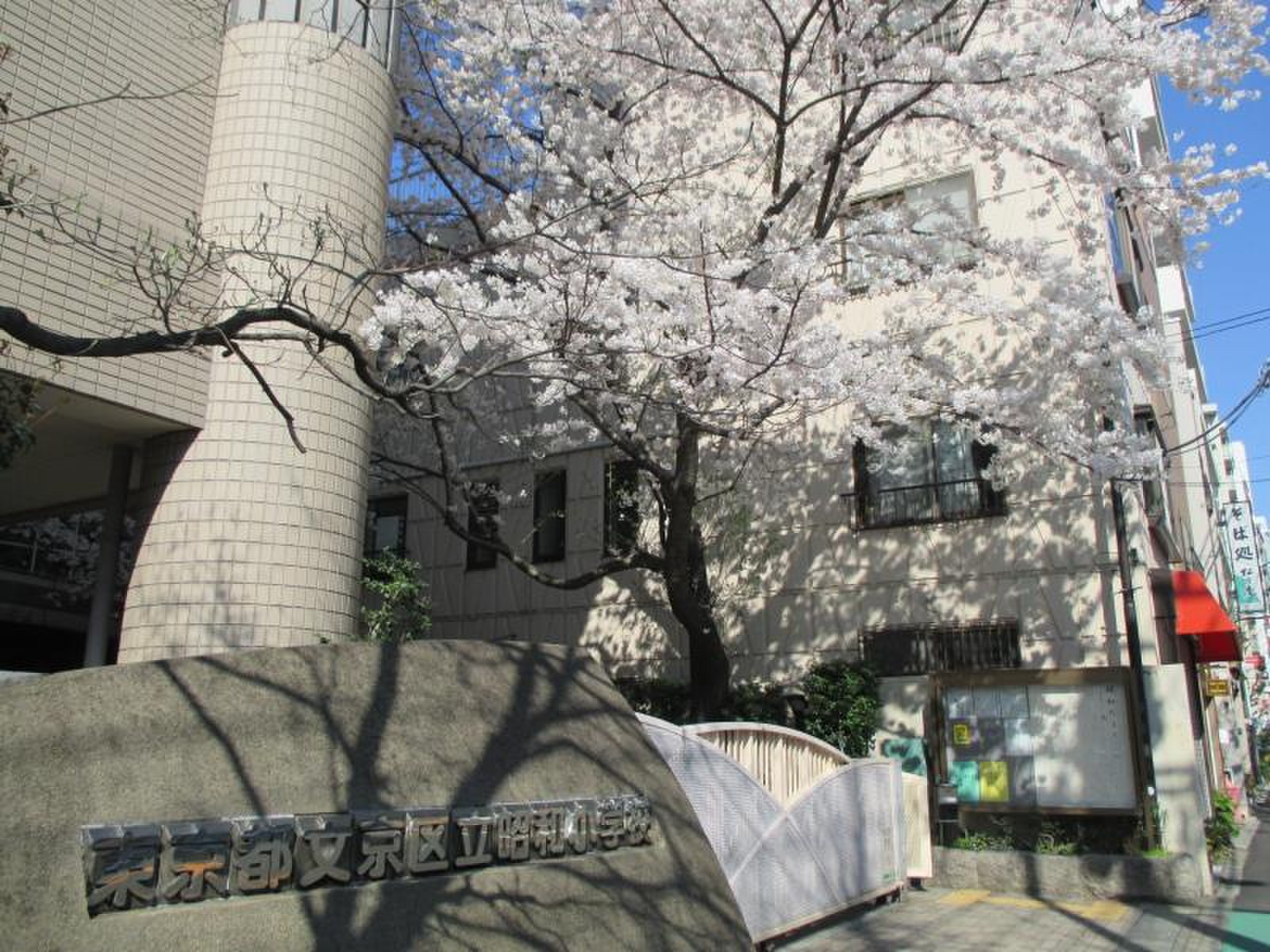 文京 区立 昭和 小学校