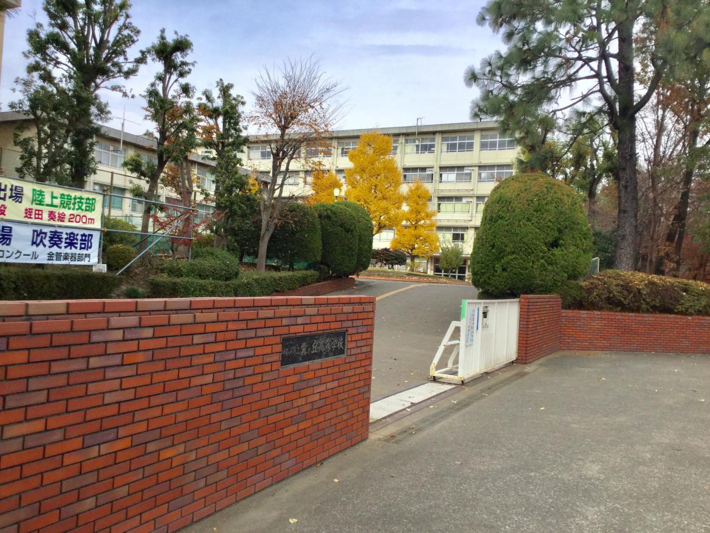 活動歴および当時の関連ビジュアル記録