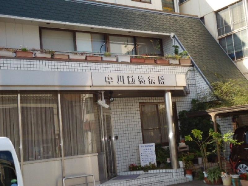 中川動物病院