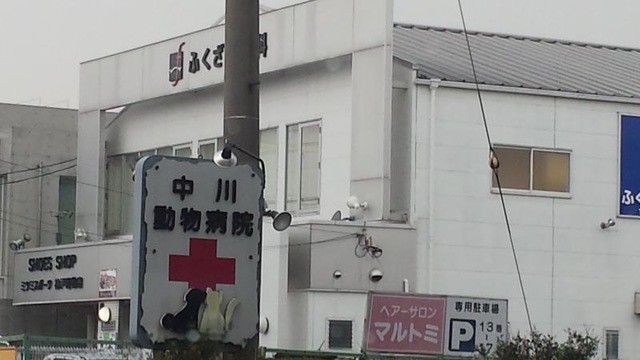 投稿写真1