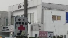 中川動物病院
