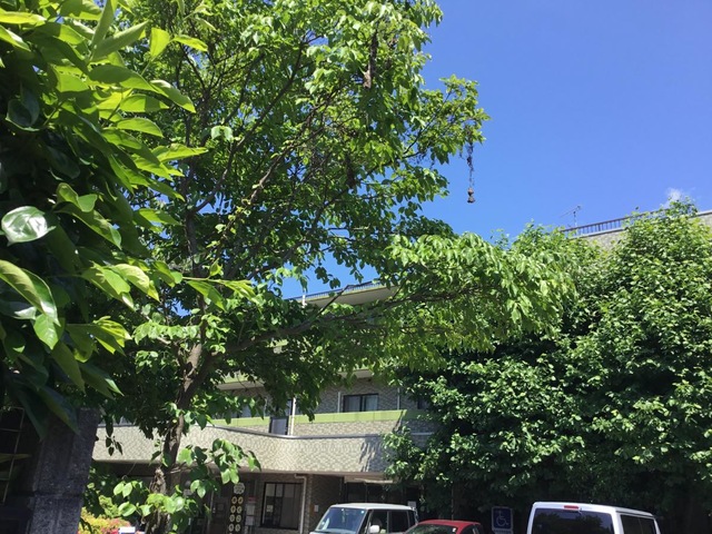 あじさい苑 施設外観