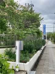 長谷川内科医院