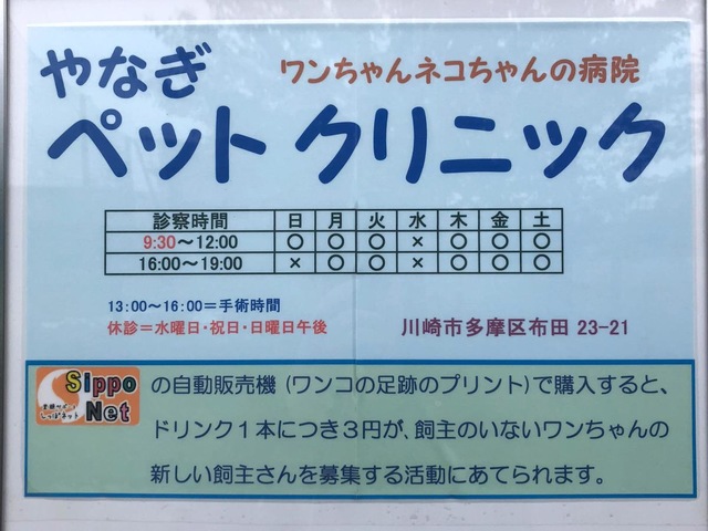 投稿写真2