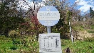 「森林組合前」バス停留所