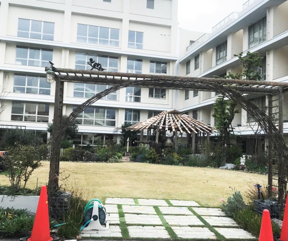 コスモス